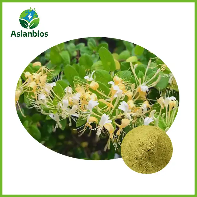 Honeysuckle Flower Powder